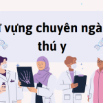 Từ vựng chuyên ngành thú y. Tại sao nên thành thạo tiếng Anh chuyên ngành thú y?